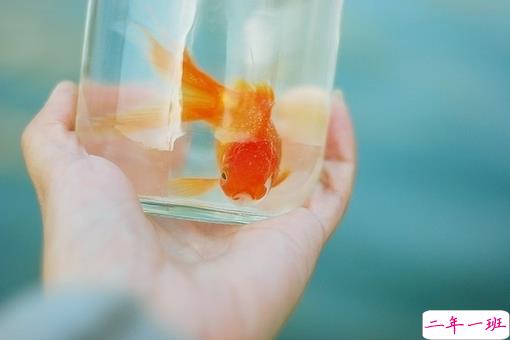 越看越想哭的专属伤感说说精选带图片 伤了累了倦了不爱了的男生说说2