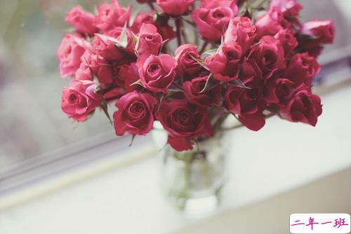 越看越想哭的专属伤感说说精选带图片 伤了累了倦了不爱了的男生说说11