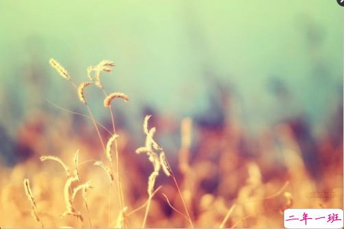 关于敏感人的说说带图片 敏感的人会怎么自我折磨13