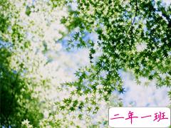 心好累的伤感说说非主流带图片 喜欢一个人却得不到的悲伤说说