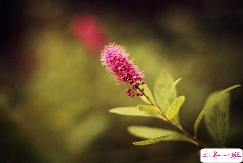 看透爱情的悲伤说说心痛分手带图片 开始很感动过程很精彩结局不想说3