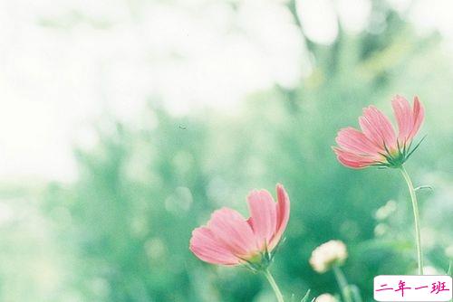 看透爱情的悲伤说说心痛分手带图片 开始很感动过程很精彩结局不想说6