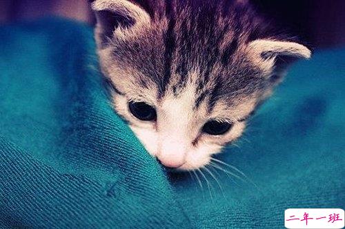 看透爱情的悲伤说说心痛分手带图片 开始很感动过程很精彩结局不想说14