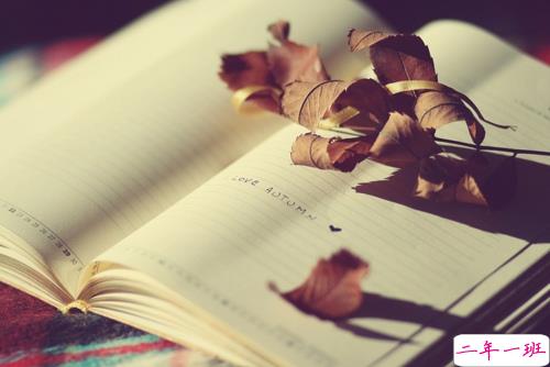 女生心累说说简洁一句话带图片 回忆很伤人的说说一直无法忘记6