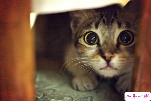 2019最流行的情侣表白说说配图 文艺范暖心情话带图片7