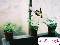 2019最流行的情侣表白说说配图 文艺范暖心情话带图片