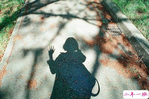 一颗心已经伤痕累累的爱情说说 不敢再相信爱情的悲伤说说201913