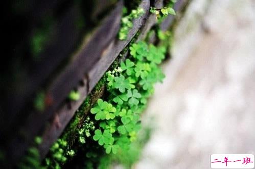 回忆总想哭的伤感说说带图片 学着忘记你释怀一切的伤感说说1