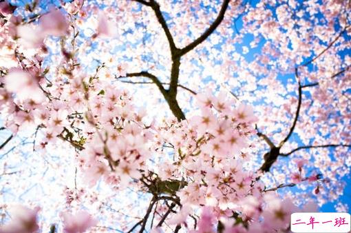 一个人感到孤独绝望的说说带图片 黑夜难以入眠的悲情说说11