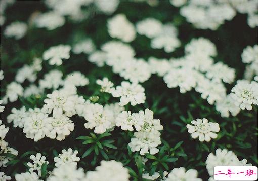 我们都琢磨不透的爱情说说带图片 忘记一个人的伤感说说心情5