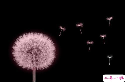 我们都琢磨不透的爱情说说带图片 忘记一个人的伤感说说心情12