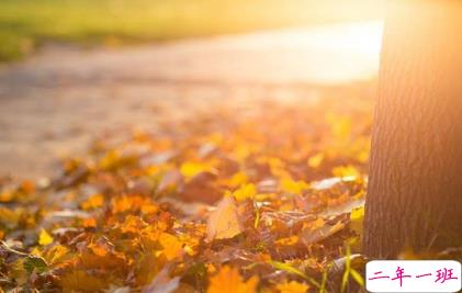 看透生活的伤感说说带图片精选 很失望的心情说说很无能为力10