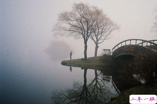 心已被刺透的伤感说说带图片 爱情给我太多伤痛的说说心好累8