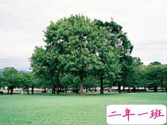 精辟犀利的爱情说说大全带图片 这些描写爱情的句子太绝了