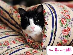 突然一瞬间悲伤难过的伤感说说带图片 抖音上很火的触动人心的伤感说说