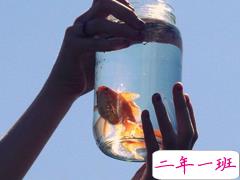 2018发朋友圈的精辟心情说说带图片 朋友圈转发过万的说说配图