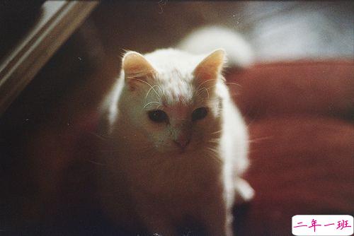 分手后感人落泪的一段话伤感说说带图片 写给分手后男女生的伤感说说9