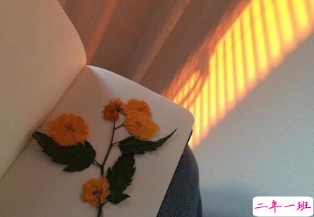 微信励志早安语加图片最新 朋友圈早安心语正能量配图文字2