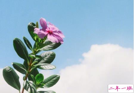 微信励志早安语加图片最新 朋友圈早安心语正能量配图文字8