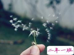 痛到心碎的伤感说说配图 生活很现实的伤感说说