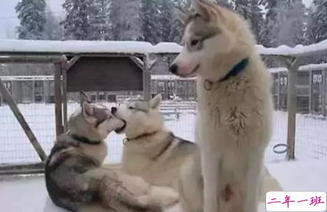 2018七夕即将来临的说说心情配图 七夕快到了的说说图片1