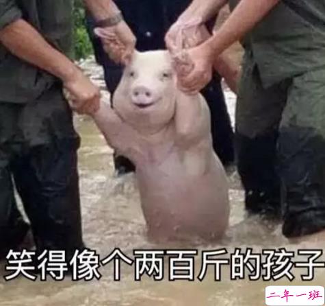 2018七夕即将来临的说说心情配图 七夕快到了的说说图片7