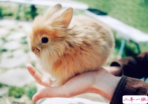 痛到快不能呼吸的伤感说说带图片 感到心情低落时发的说说3