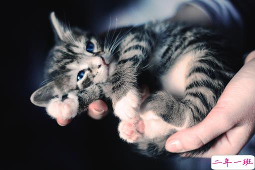 痛到快不能呼吸的伤感说说带图片 感到心情低落时发的说说13