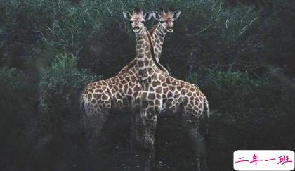 忽而夏至的悲伤日记的伤感说说配图 你最美的青春都在陪他吃苦2