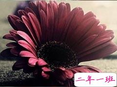 在梦里也会潸然泪下的说说带图 如果时光倒流峩扪能抓得住什么