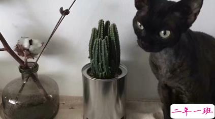 忽而夏至的悲伤日记的伤感说说配图 你最美的青春都在陪他吃苦13