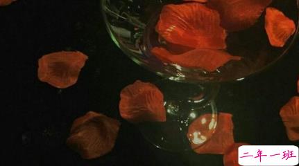 忽而夏至的悲伤日记的伤感说说配图 你最美的青春都在陪他吃苦14