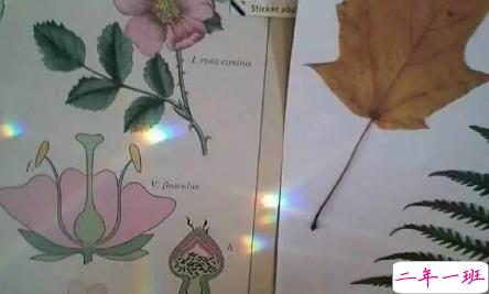 心累了伤感说说带图片精选14条 心累了伤感说说带图片适合女生2