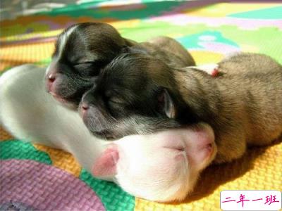 搞笑QQ说说带图片7