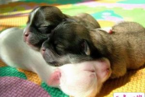 搞笑QQ说说带图片：上课就像南孚电池，一节更比六节长