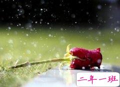 QQ空间说说图片：明知道我是你的将就，却还是把你当做我的所有