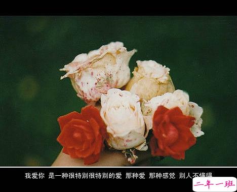 超伤感难过悲伤的爱情说说 你是我枯水年纪里的一场雨11