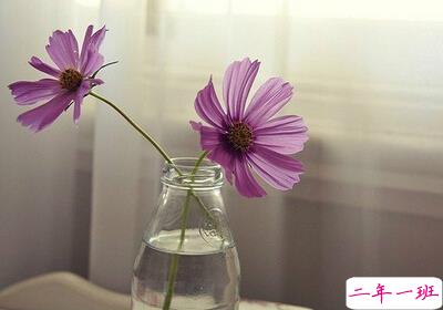 好看的空间说说带图片1