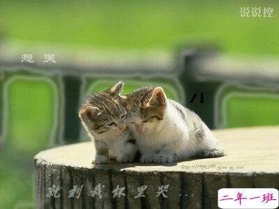 男生说说带图片5