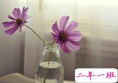 好看的空间说说带图片：日久不但能生情，还能生孩子