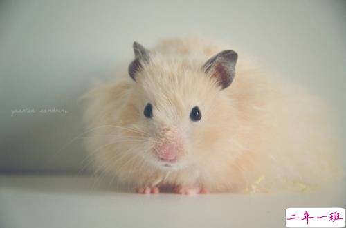 关于爱情的有些伤感难过的说说带图片 遇你之后步步都难走4