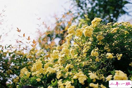 关于成长人生和爱情的美到让人心碎的说说带图片2