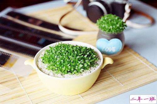 适合深夜心情不好孤独寂寞时候发的图片说说 喜欢你是一场漫长的失恋 ​8