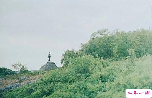 关于成长人生和爱情的美到让人心碎的说说带图片6