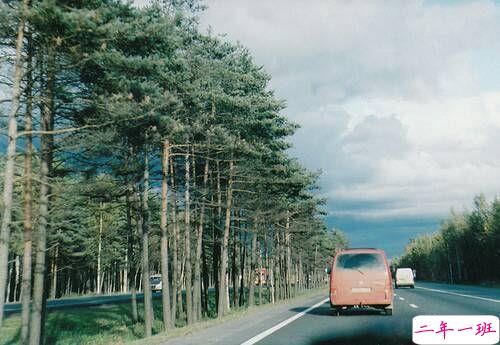 关于成长人生和爱情的美到让人心碎的说说带图片9