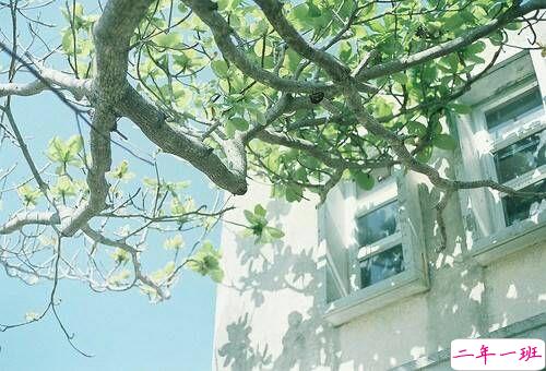 关于成长人生和爱情的美到让人心碎的说说带图片10