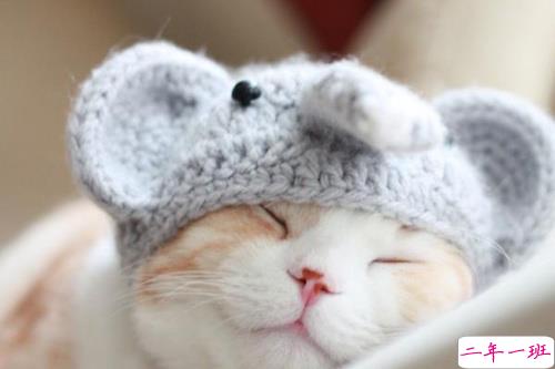 适合深夜心情不好孤独寂寞时候发的图片说说 喜欢你是一场漫长的失恋 ​13