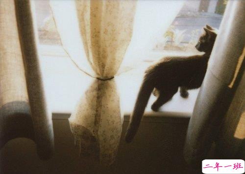 关于爱情的有些伤感难过的说说带图片 遇你之后步步都难走14