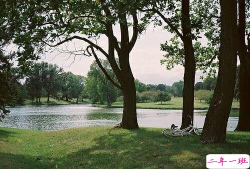 关于成长人生和爱情的美到让人心碎的说说带图片14