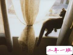 关于爱情的有些伤感难过的说说带图片 遇你之后步步都难走